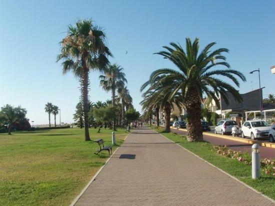 Apartament La Conchiglia Porto SantʼElpidio Zewnętrze zdjęcie