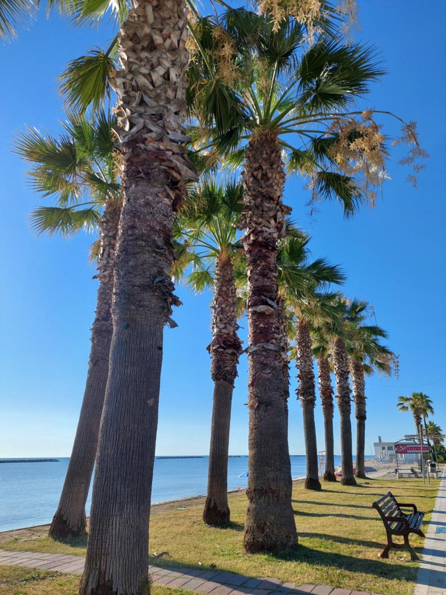 Apartament La Conchiglia Porto SantʼElpidio Zewnętrze zdjęcie